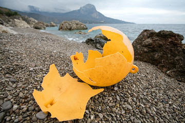 Buoy that is broken on the seashore