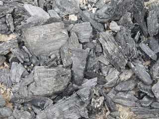 Węgiel drzewny
