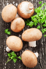 Braune Champignons