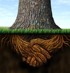 Strong Business Roots - obrazy, fototapety, plakaty