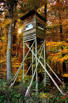 Ein Hochsitz in einem Herbstwald
