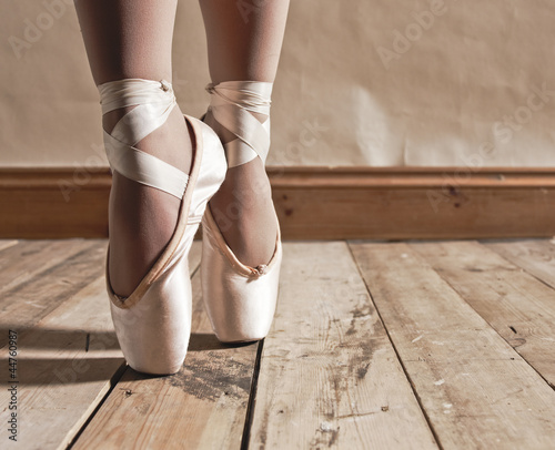 Ballet Shoes Payless
