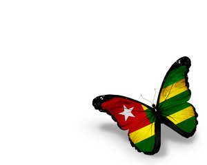 Togo flag butterfly, isolated on white background
