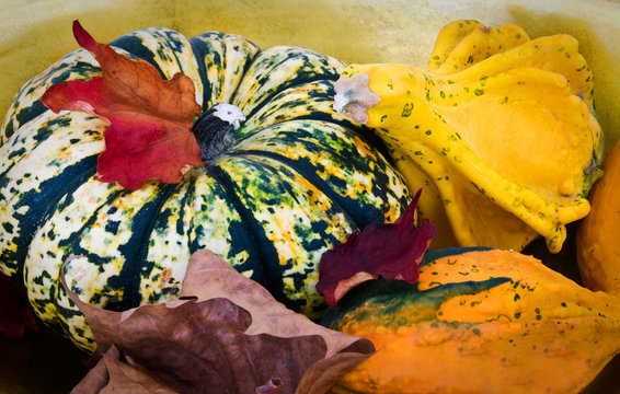 Nature morte coloquintes