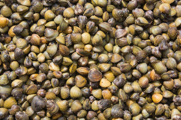 Hot and spicy fried shell , Cambodia