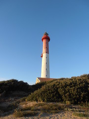 Fototapeta na wymiar Dunes de la coubre et phare