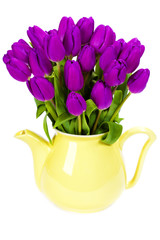 purple tulips