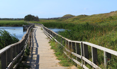 A Wooden Pedestrian Bridge