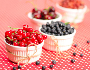 Wild berries in bowls