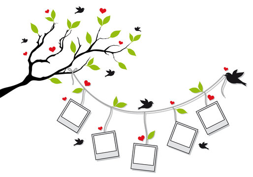 tree with photo frames and birds, vector