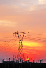 Ravenna, transmission lines at sunset.