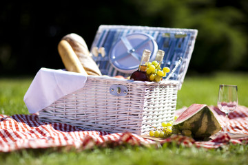 Fresh food from picninc basket on grass in the garden