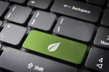 Green leaf keyboard key, environment background - 44769948