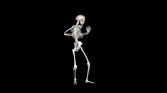 Skeleton Disco Dancing - White + Alpha  CGI