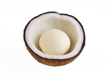 coconut  on white background