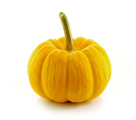 pumpkin on  white background