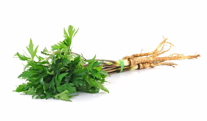 Lovage isolated on white background
