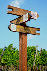 Sentier viticole des Grands crus en Alsace