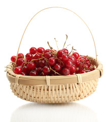 redcurrants in a basket isolated on white