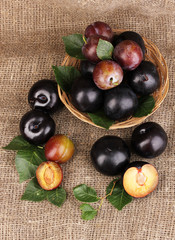 Rip plums on basket on sacking