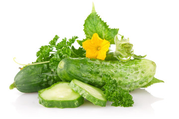fresh cucumbers with parsley flower and green leaves isolated