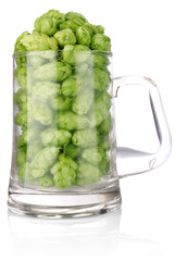 hop in glass for beer