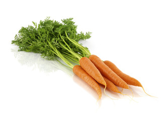 carrot