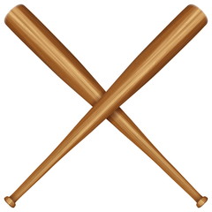 wooden baseball bat