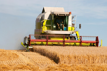 moisson