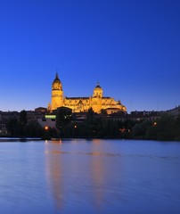 Naklejka premium Catedral de Salamanca de noche.