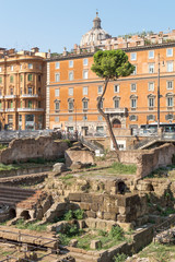 Fototapeta na wymiar Rzym, u wybrzeży Argentyny, Torre obszar III wpne
