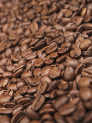 Granos de café vista de cerca