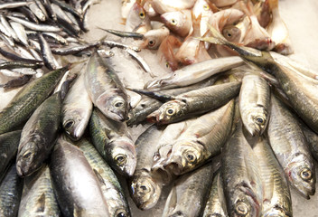 Fresh fishes in a market