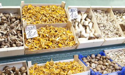 Mushrooms exposed in market Barcelona