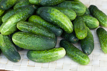 fresh green cucumber
