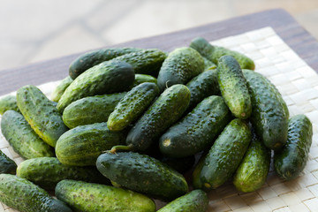 fresh green cucumber