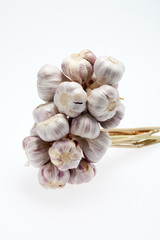fresh garlic  on white background
