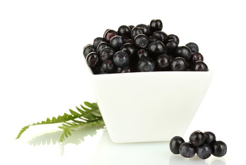 Fresh blueberries in white bowl isolated on white