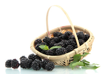 beautiful blackberries with leaves in basket isolated on white