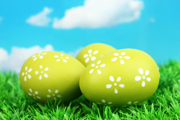 Colorful easter eggs on grass