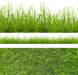 grass