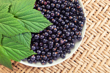 black currant.