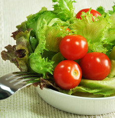 Fresh salad