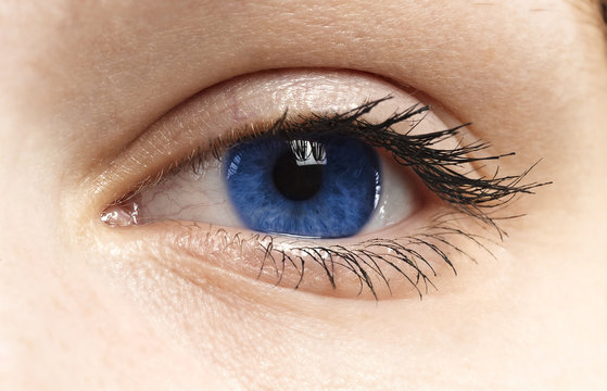 Woman blue eye with long eyelashes