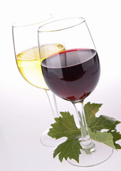 wineglasses and leaf on white