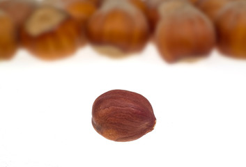 Hazelnuts macro
