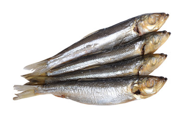 Fish food isolated