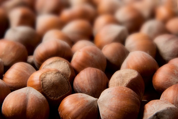 Hazelnuts background