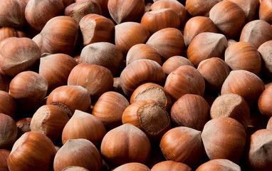 Hazelnuts background