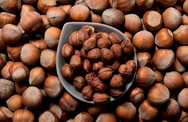 Hazelnuts background